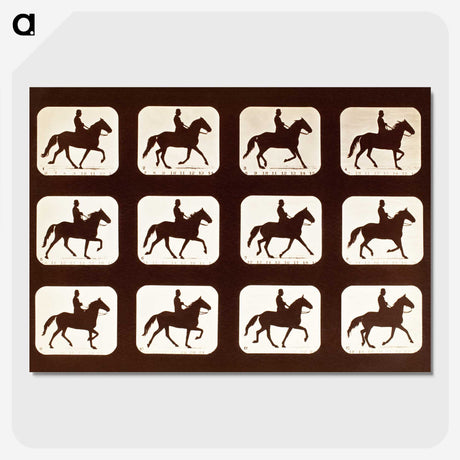 2-34_Eadweard-Muybridge_picture-crop