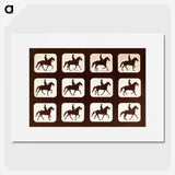 2-34_Eadweard-Muybridge_picture