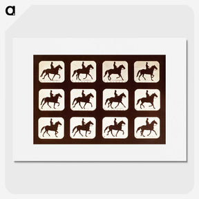 2-34_Eadweard-Muybridge_picture
