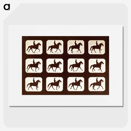 2-34_Eadweard-Muybridge_picture