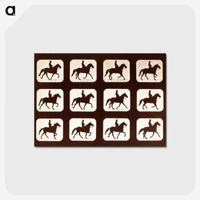 2-34_Eadweard-Muybridge_postcard