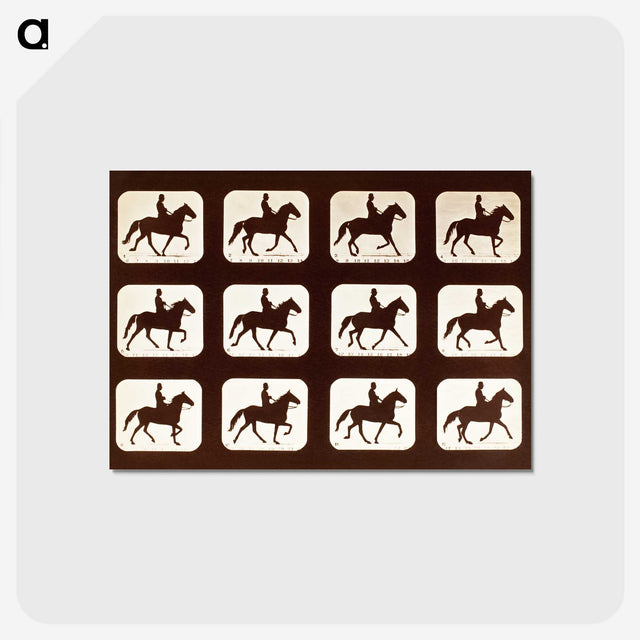 2-34_Eadweard-Muybridge_postcard