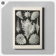 2-34_Ernst-Haeckel_canvas