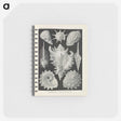 2-34_Ernst-Haeckel_memo