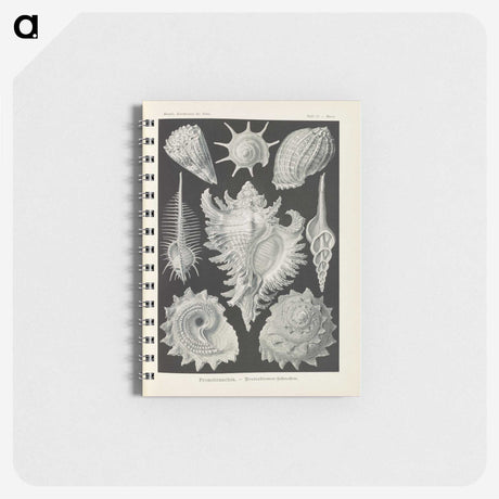 2-34_Ernst-Haeckel_memo