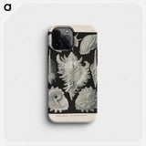 Marine life illustration - エルンスト ヘッケル Phone Case.