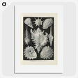 2-34_Ernst-Haeckel_picture