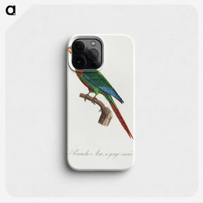 2-34_Francois-Levaillant_phone