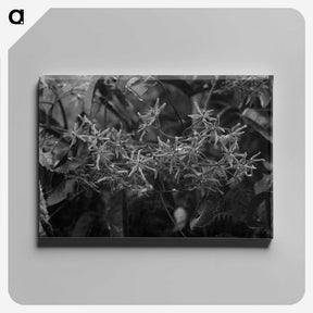 2-34_Frederick-Charles-Brockett_canvas