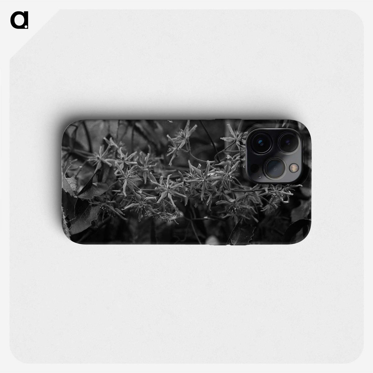 2-34_Frederick-Charles-Brockett_phone