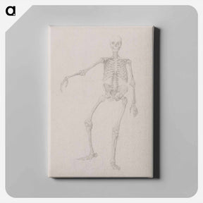アートパネル-Human Skeleton, Anterior View
 - ジョージ スタッブス Canvas.