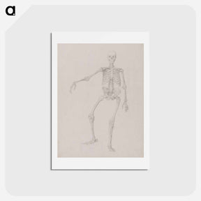 アートポストカード-Human Skeleton, Anterior View
 - ジョージ スタッブス Postcard.