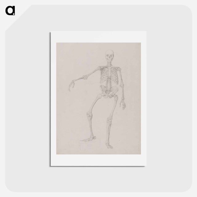 アートポストカード-Human Skeleton, Anterior View
 - ジョージ スタッブス Postcard.