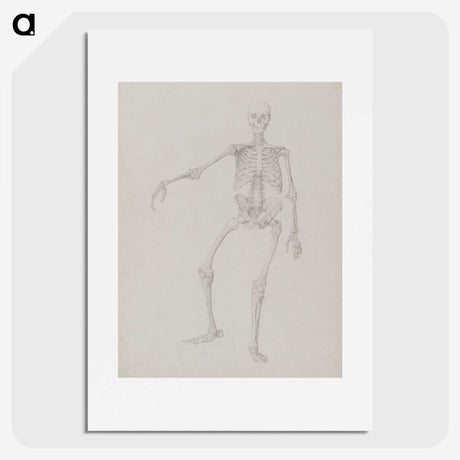 2-34_George-Stubbs_picture