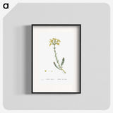 2-34_Histoire-des-Plantes-Grasses_blk