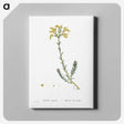 2-34_Histoire-des-Plantes-Grasses_canvas