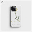 2-34_Histoire-des-Plantes-Grasses_phone