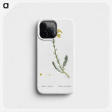 2-34_Histoire-des-Plantes-Grasses_phone