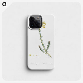2-34_Histoire-des-Plantes-Grasses_phone