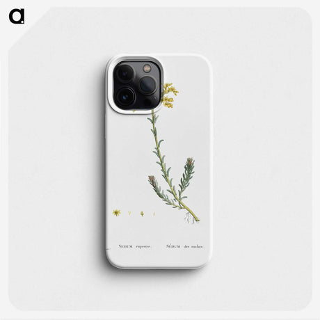 2-34_Histoire-des-Plantes-Grasses_phone