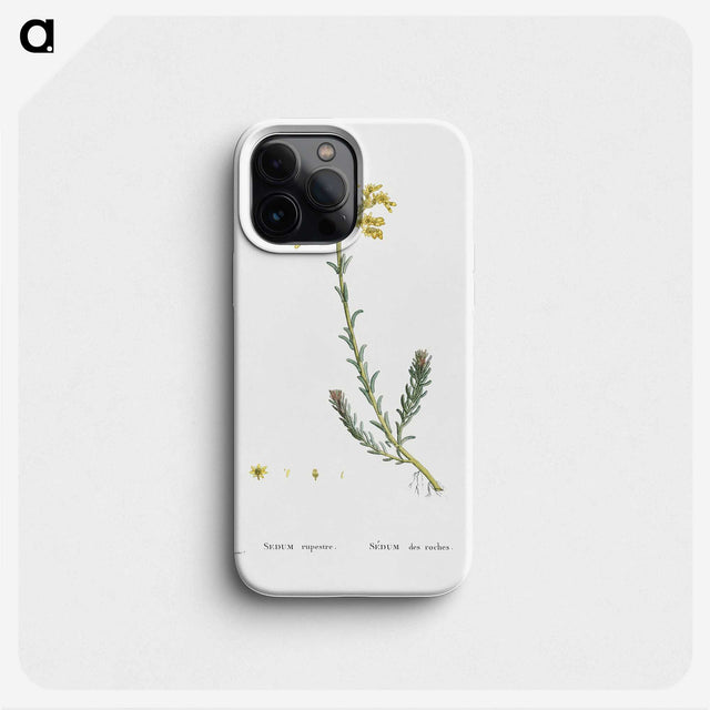 2-34_Histoire-des-Plantes-Grasses_phone