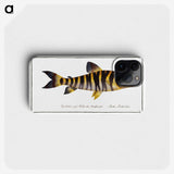 2-34_Ichtyologie-ou-Histoire-naturelle_phone