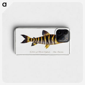 2-34_Ichtyologie-ou-Histoire-naturelle_phone