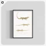 2-34_Indian-Zoology_blk-crop