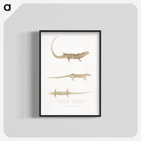 2-34_Indian-Zoology_blk-crop