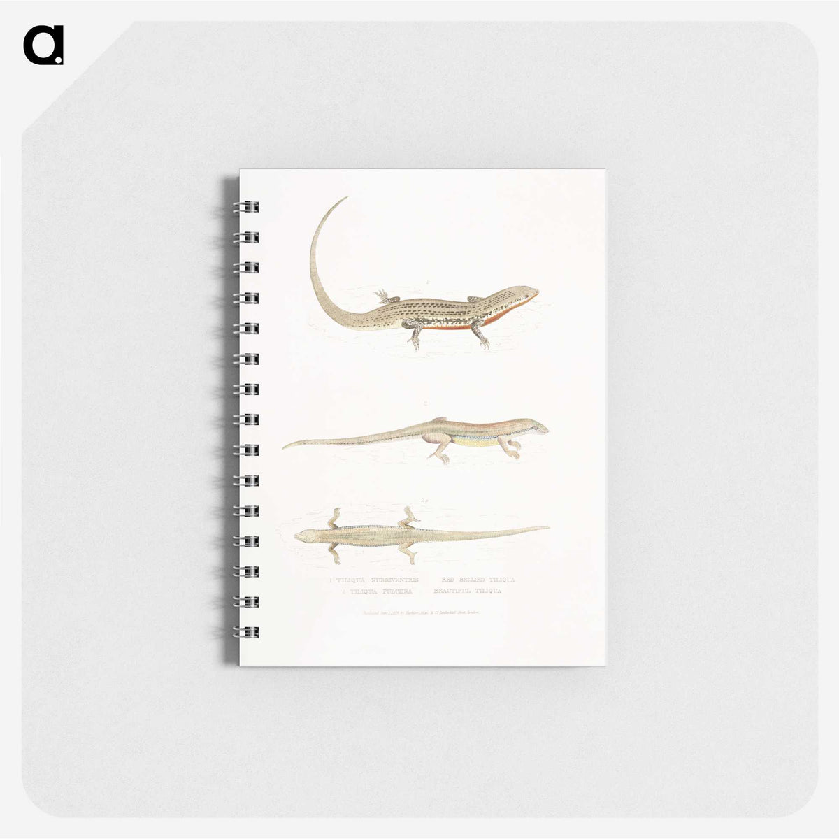 2-34_Indian-Zoology_memo