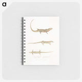 2-34_Indian-Zoology_memo