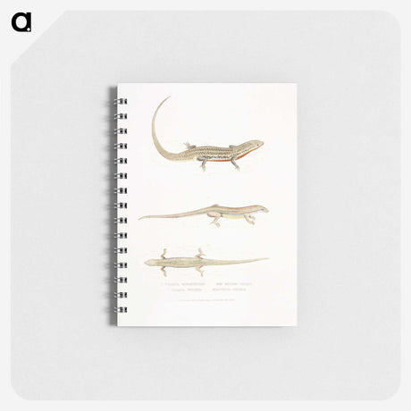 2-34_Indian-Zoology_memo