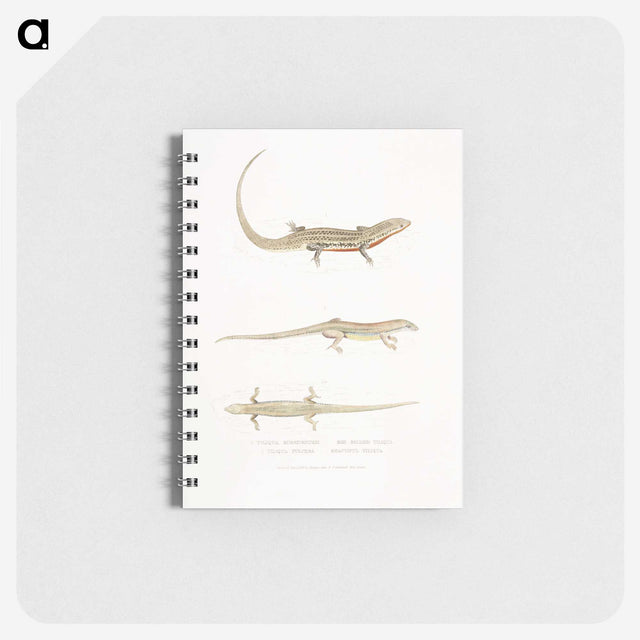2-34_Indian-Zoology_memo