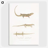 2-34_Indian-Zoology_picture-crop