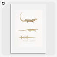 2-34_Indian-Zoology_picture