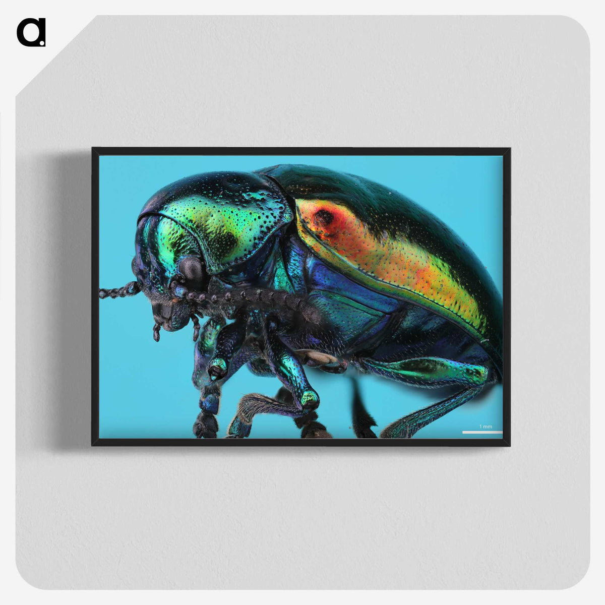 2-34_Insects-Unlocked-Project_blk-crop