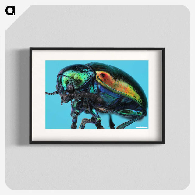 2-34_Insects-Unlocked-Project_blk