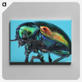2-34_Insects-Unlocked-Project_canvas