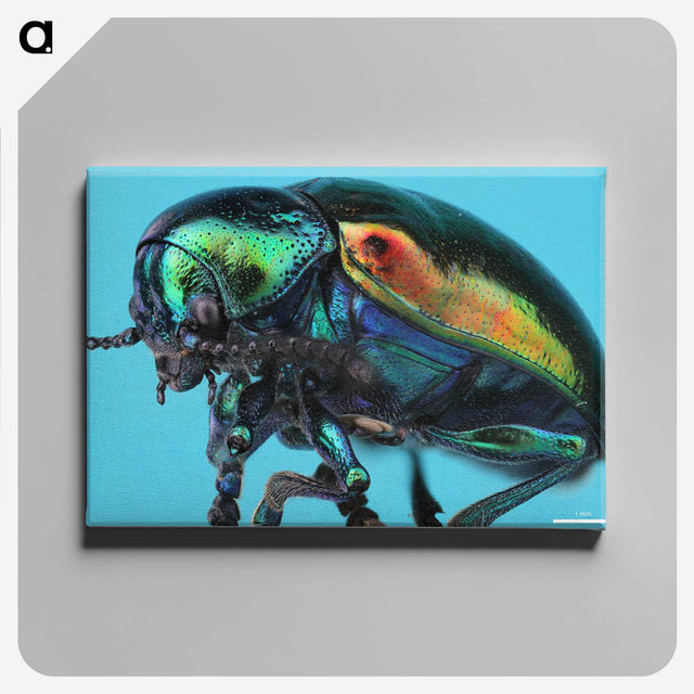 2-34_Insects-Unlocked-Project_canvas