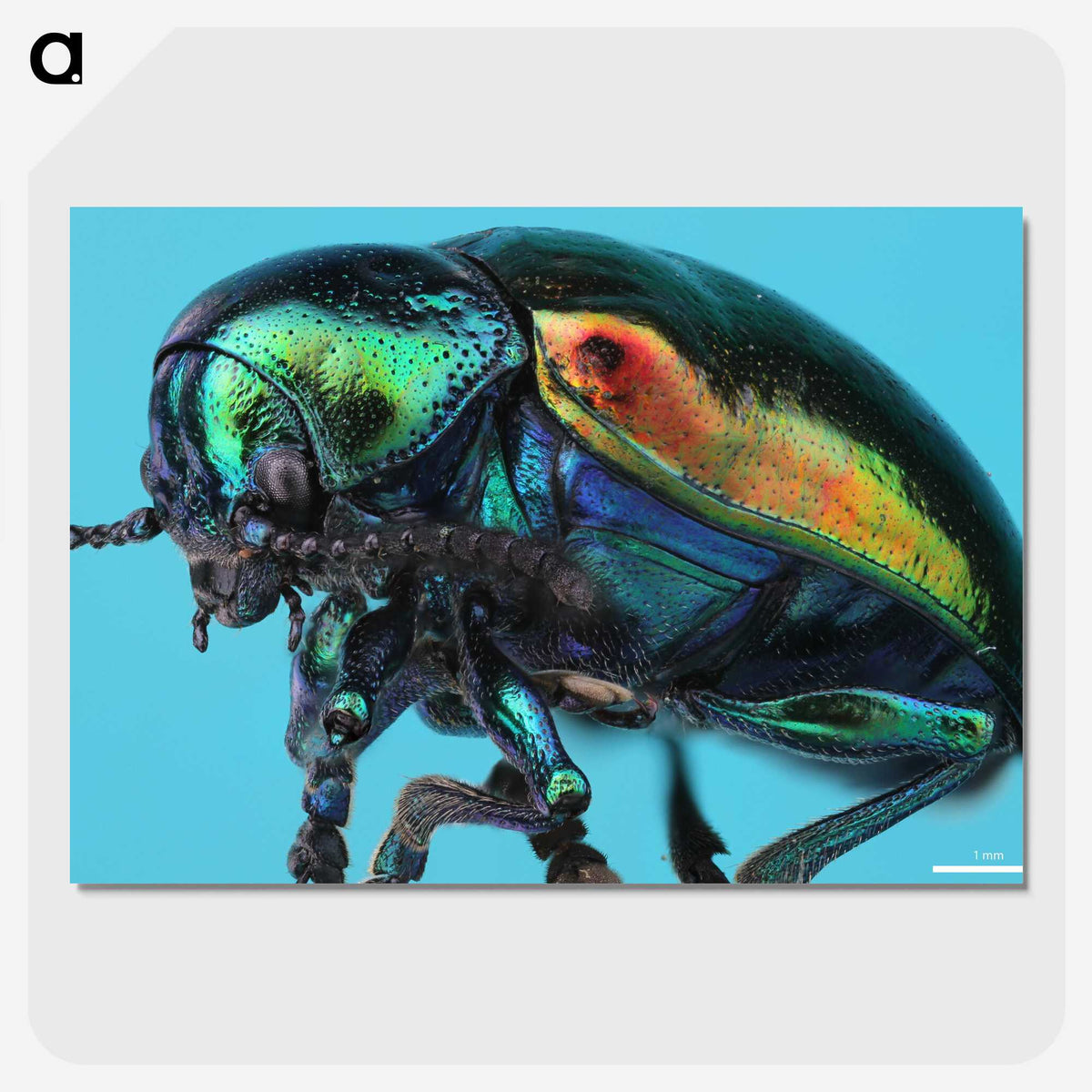 2-34_Insects-Unlocked-Project_picture-crop