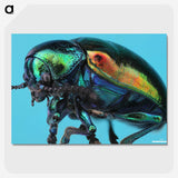 2-34_Insects-Unlocked-Project_picture-crop