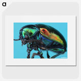 2-34_Insects-Unlocked-Project_picture