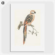 2-34_Johan-Teyler_picture
