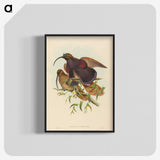 2-34_John-Gould_blk-crop