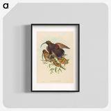2-34_John-Gould_blk