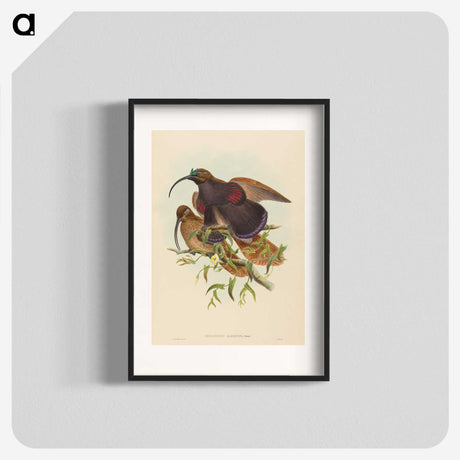 2-34_John-Gould_blk