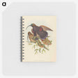 2-34_John-Gould_memo