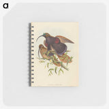 2-34_John-Gould_memo