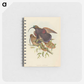 2-34_John-Gould_memo