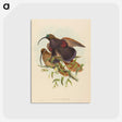 2-34_John-Gould_postcard